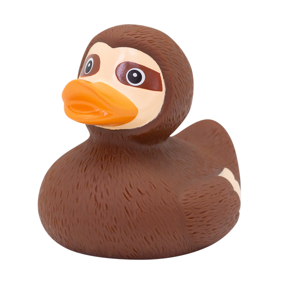 Lazy duck