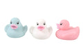 Ente Pastel Lumineux