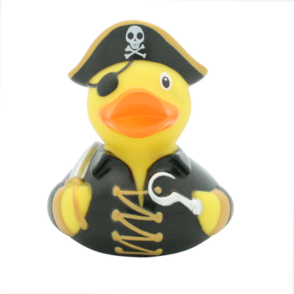 Pirate duck