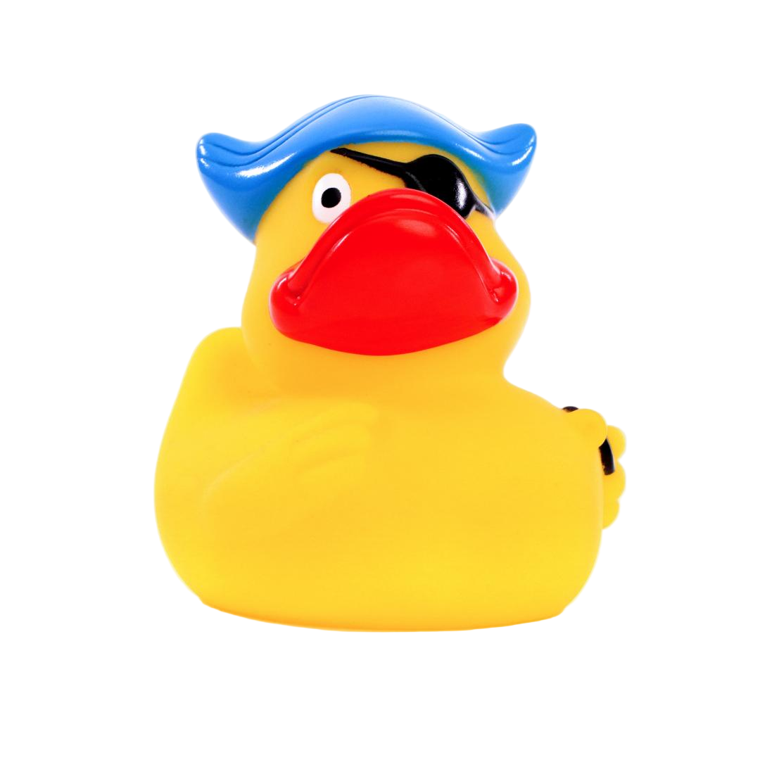 Pirate duck