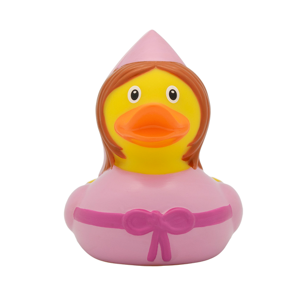 Fairy fairytale duck