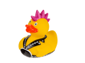 Punk duck