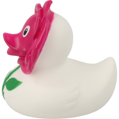 Rose duck