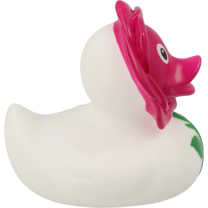 Rose duck