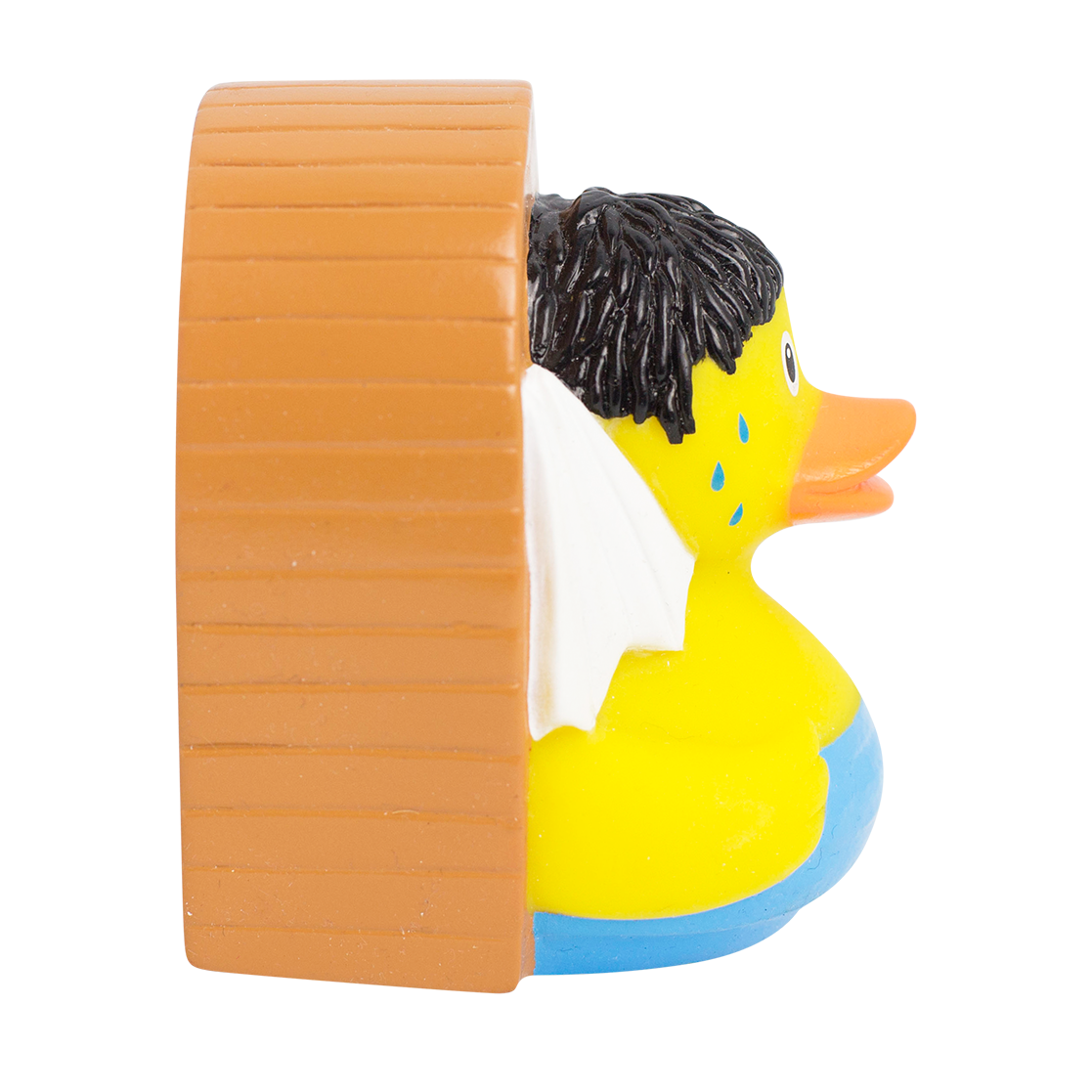 Canard Sauna