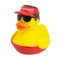 Savings duck