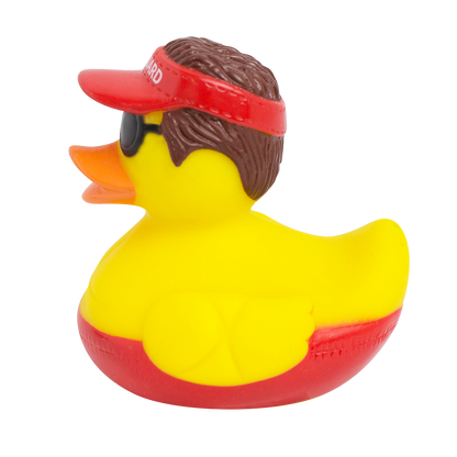 Savings duck