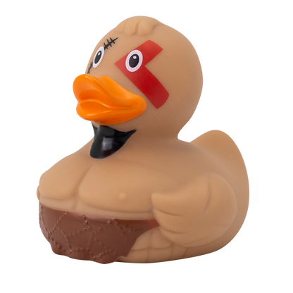 Spartan duck