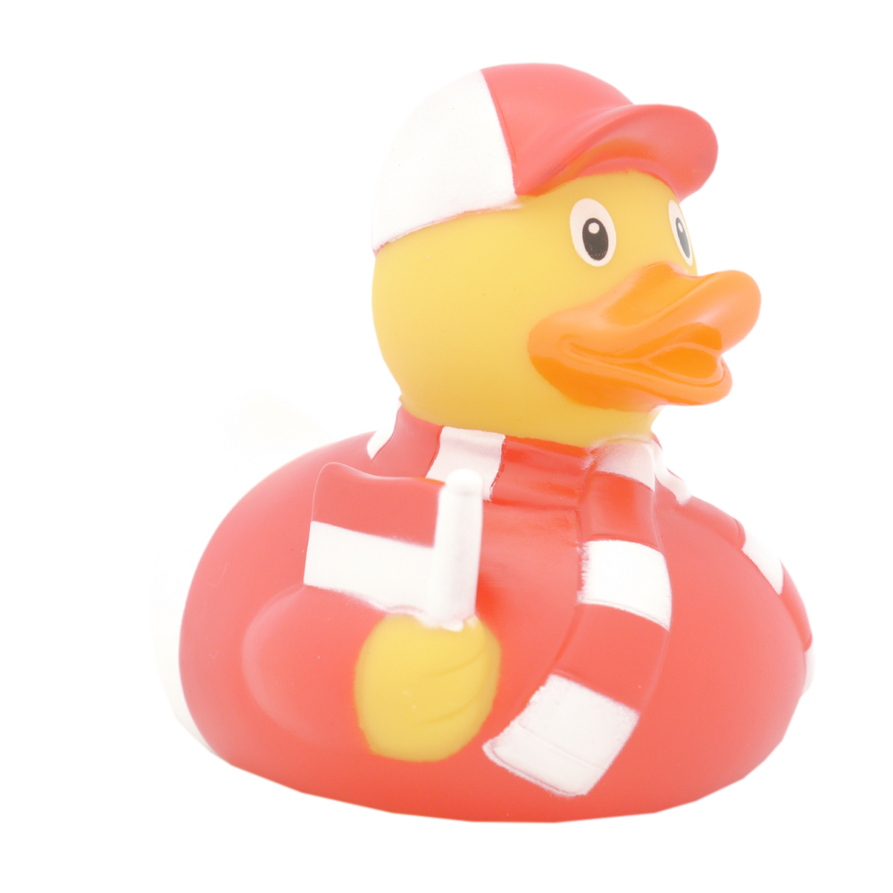 Ente Fan