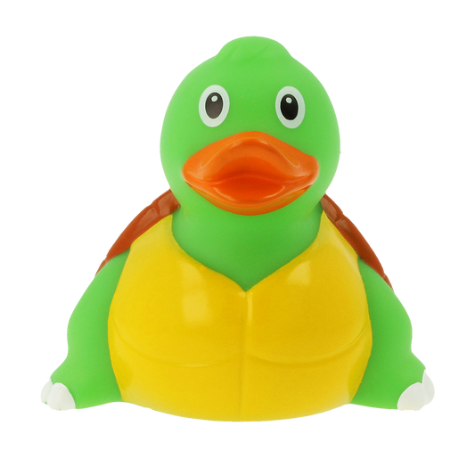 Duck turtle