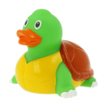 Eendschildpad