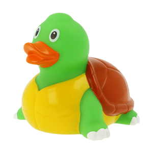 Eendschildpad