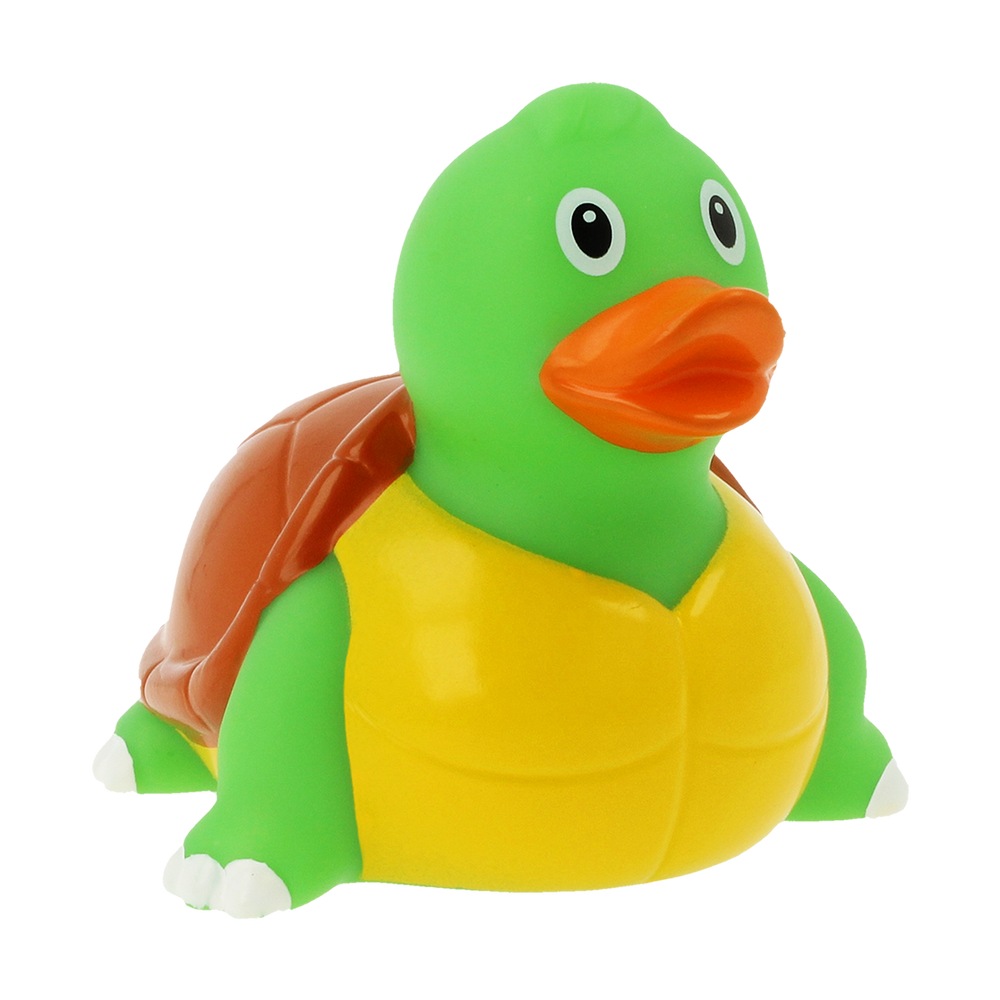 Eendschildpad