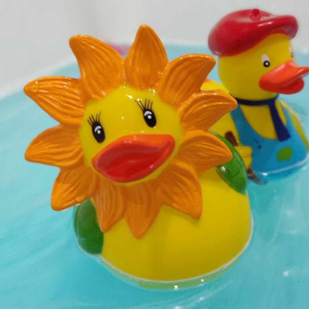 Duck Sunflower
