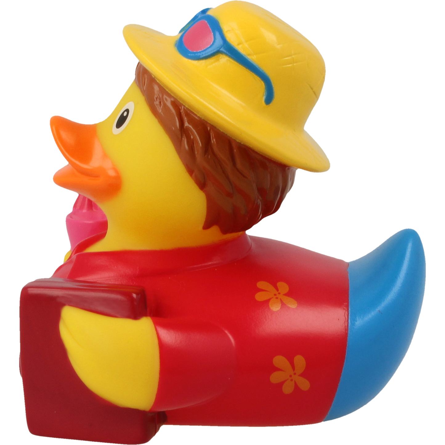 Canard Vacancier