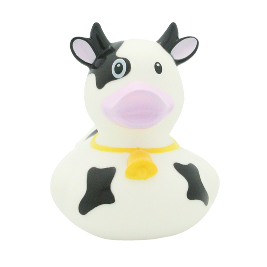 Dairy cow