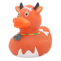 Canard Vache Marron