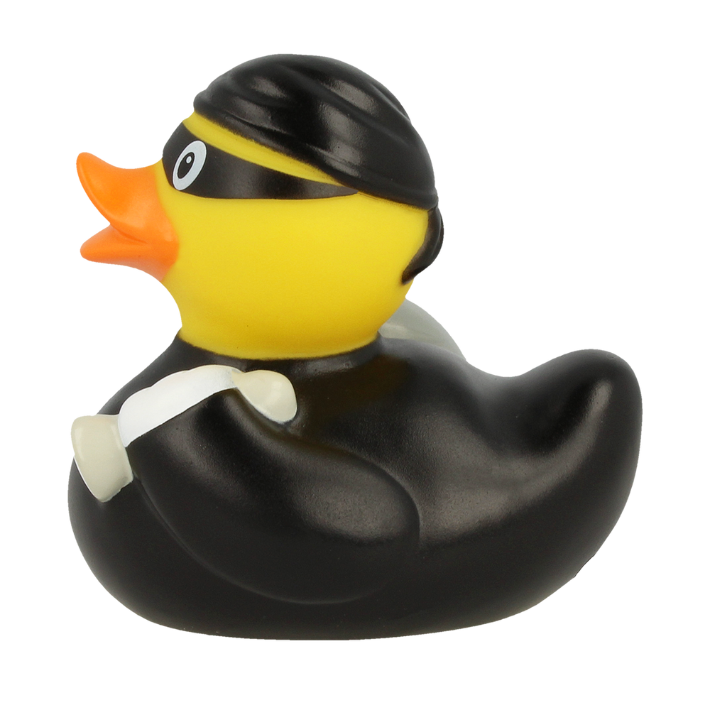 Ente Voleur
