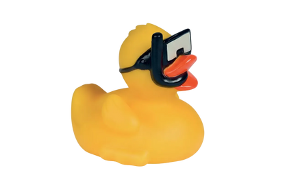 Duck Snorkel and Diving Mask