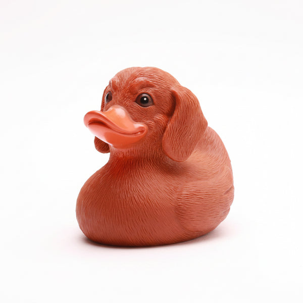 Duck Dachshund