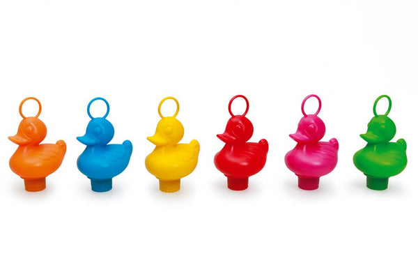 Set of 6 Duck Fishing Ducks - Rainbow