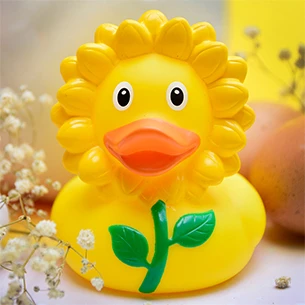 Canard Tournesol