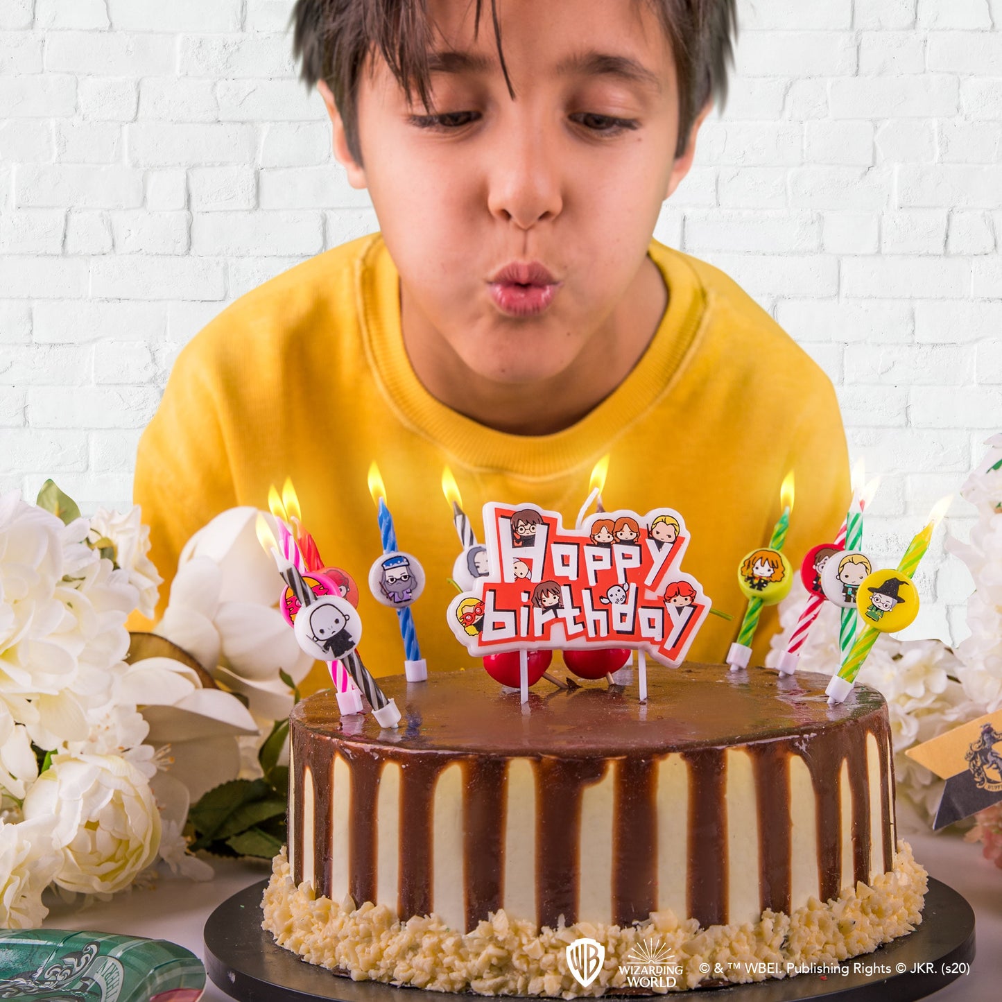 Set of 10 Harry Potter Character Birthday Candles & 1 Happy Birthday Candle