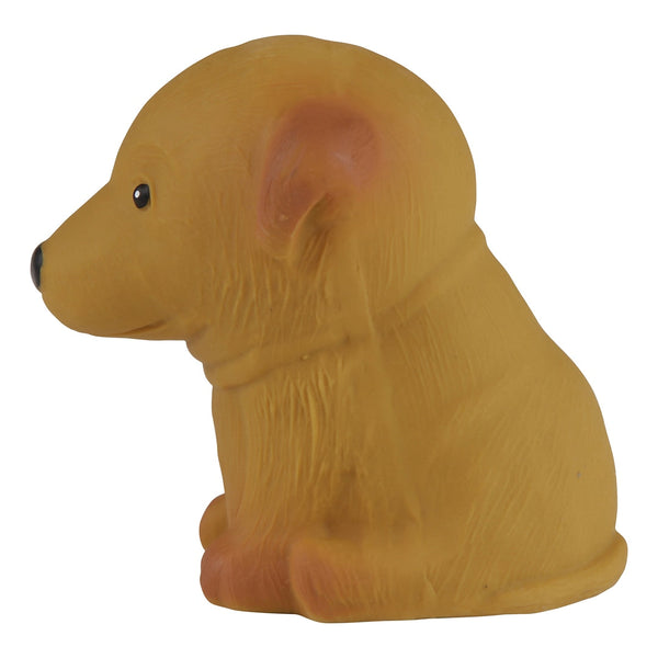Puppy Parade Poedel