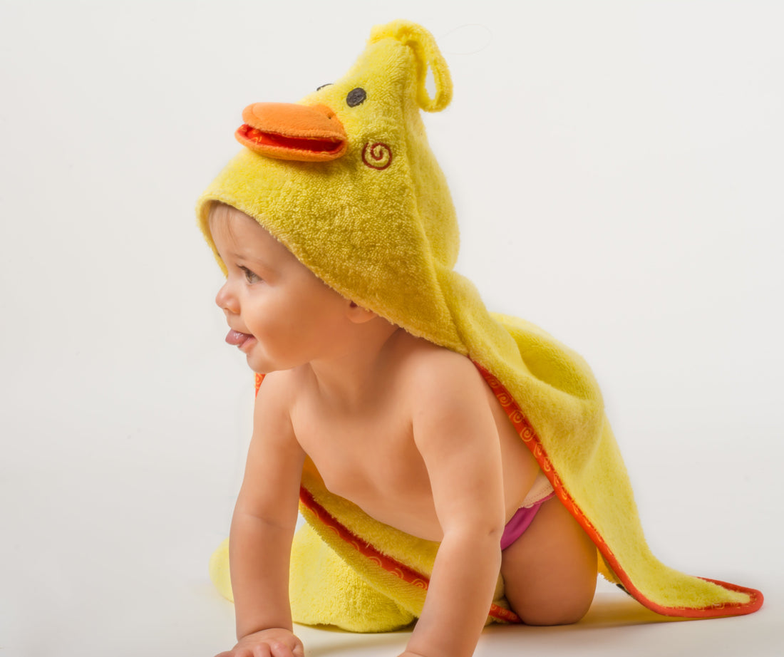 Zoocchini