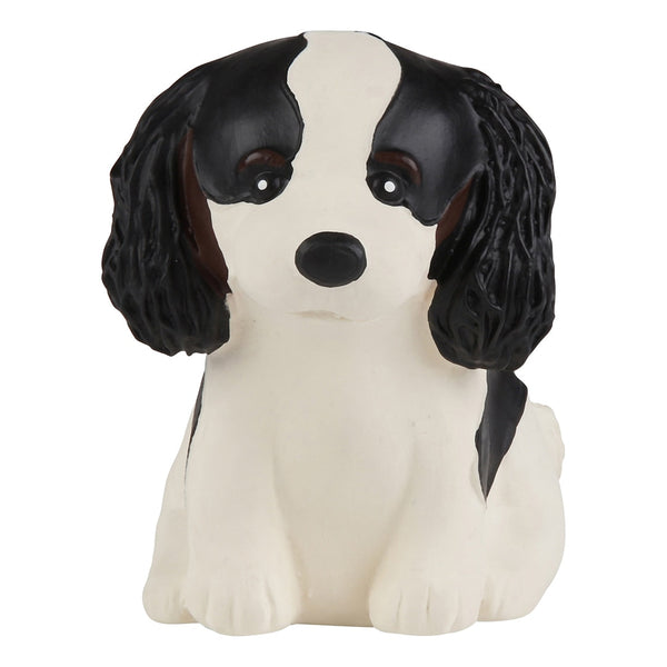 Puppy Parade Cavalier King Charles