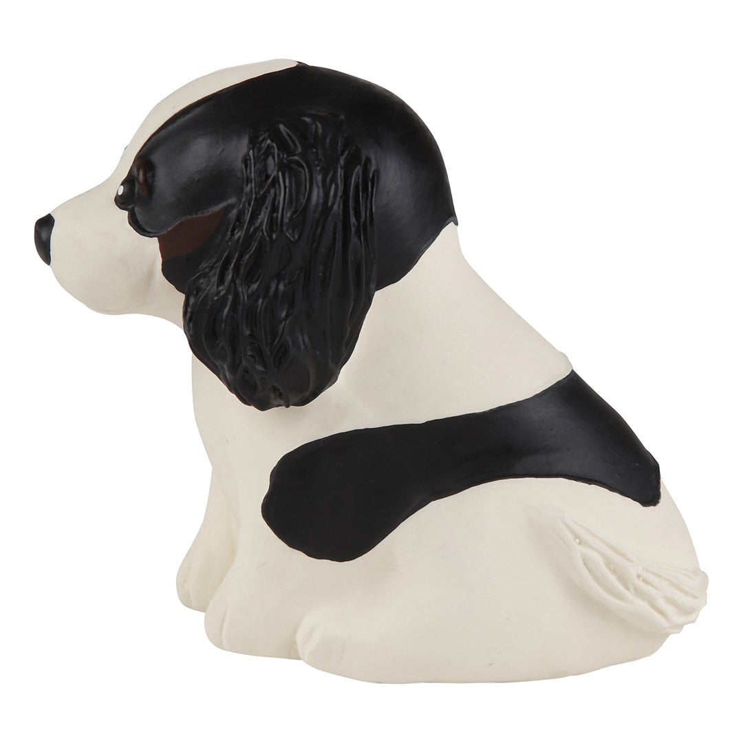 Puppy Parade, Cavalier King Charles – visuel produit