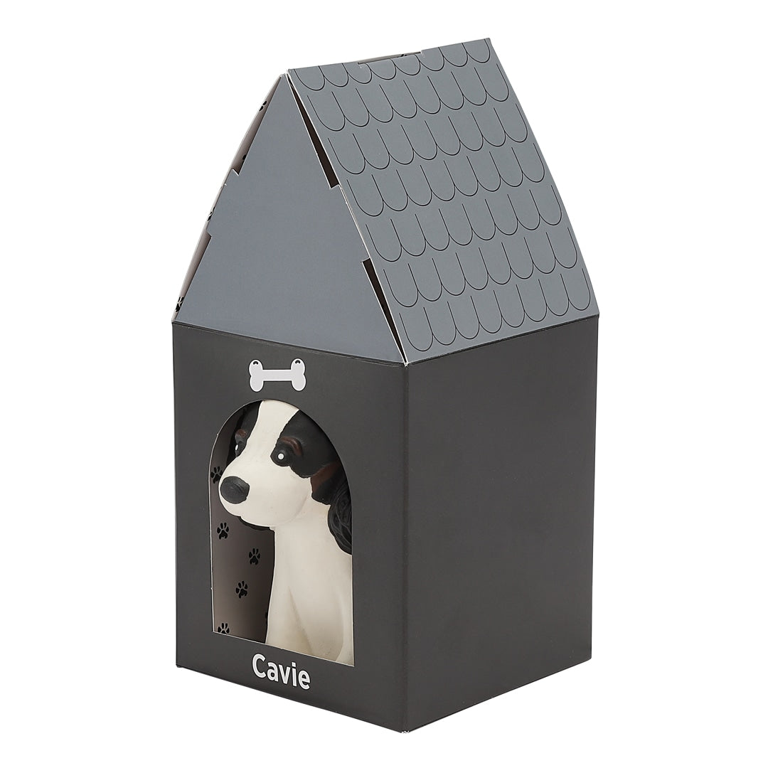 Puppy Parade, Cavalier King Charles – visuel produit