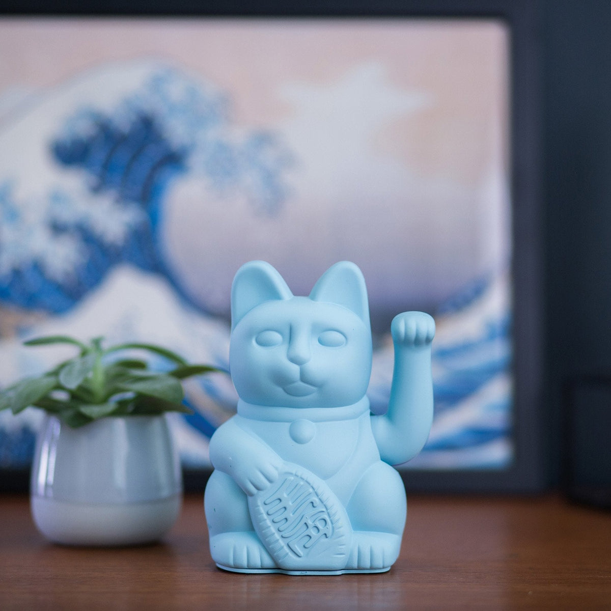 Light blue cat