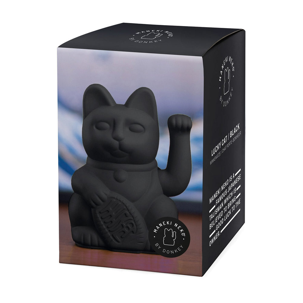 Gelukszwarte kat