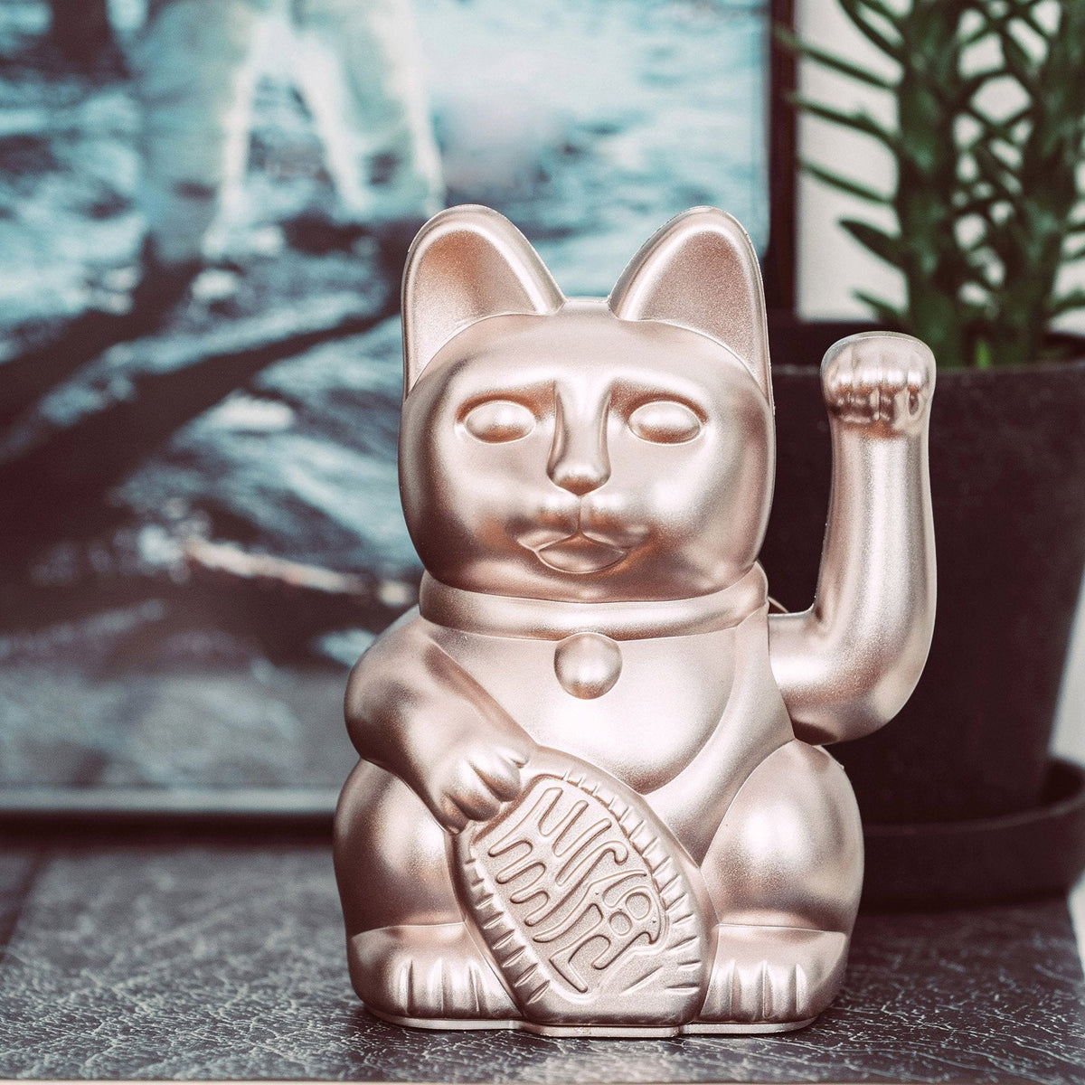 Lucky Cat Moonlight