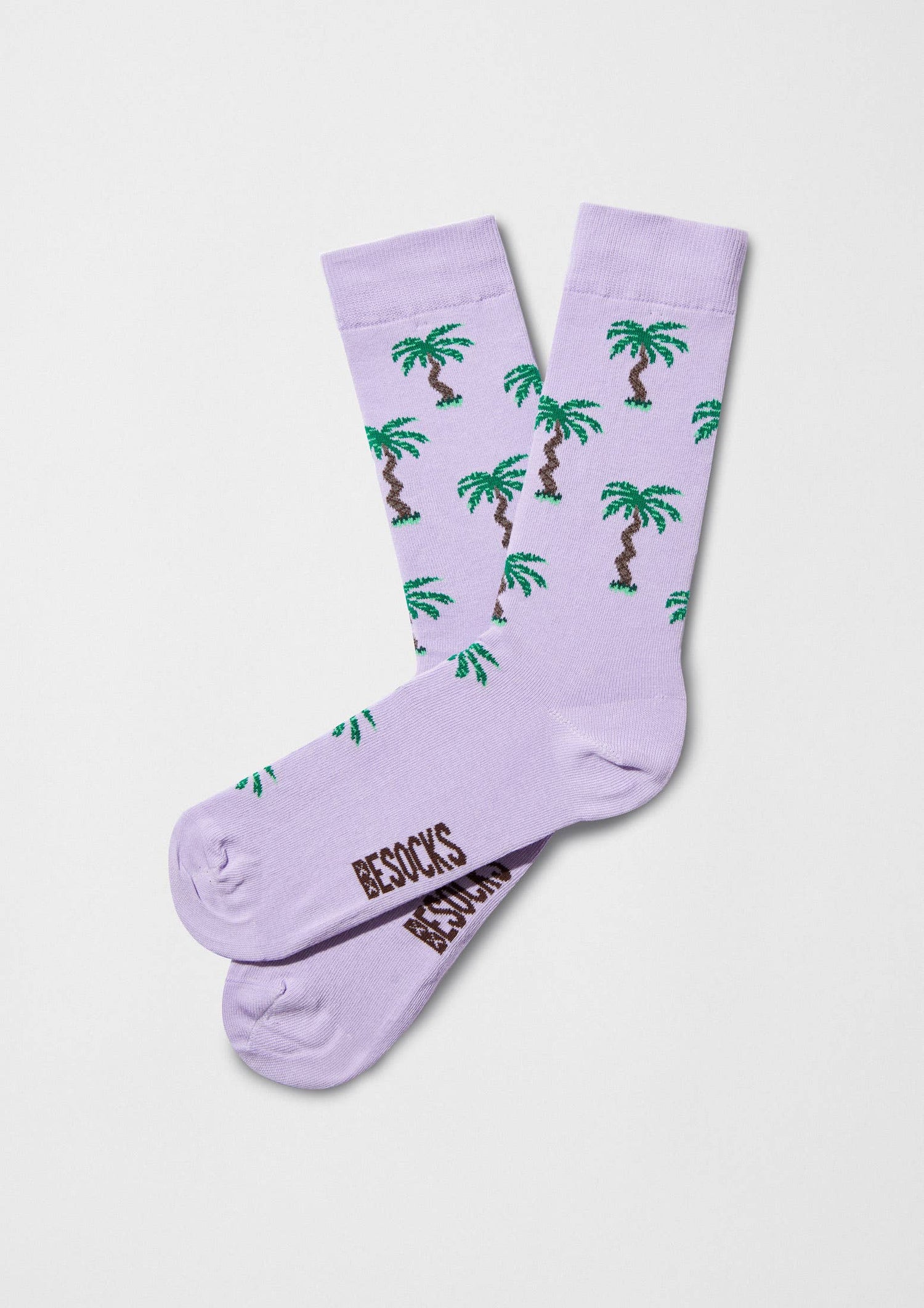 Palm trees 🌴