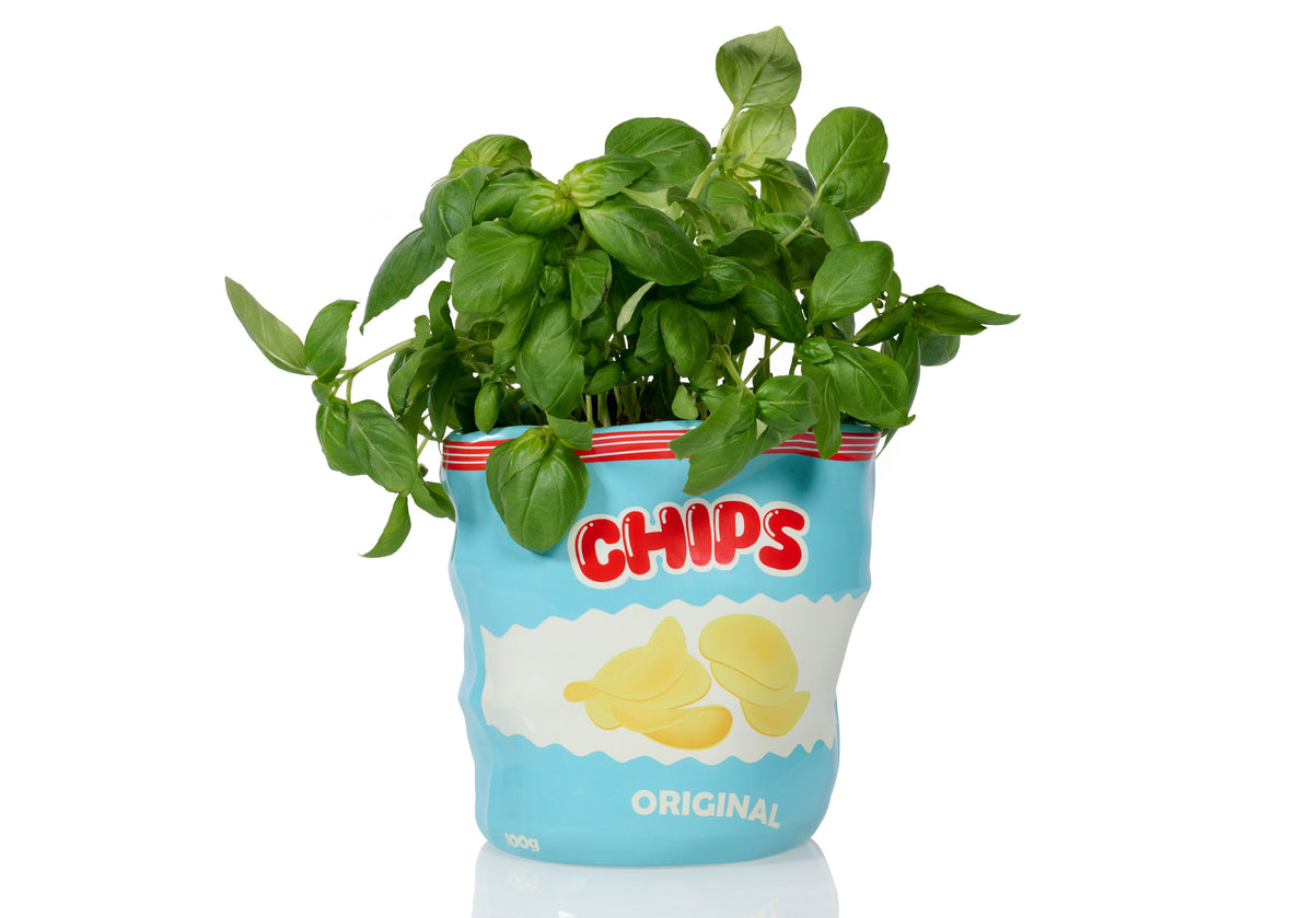 Pot de Fleur Chips en Céramique