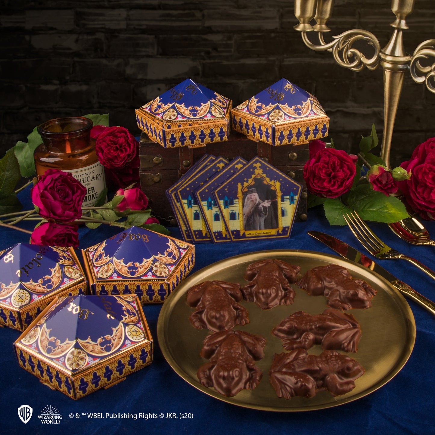 Chocolate Frog Mould + 12 magical cards + 6 Chocolate Frog boxes (new edition)