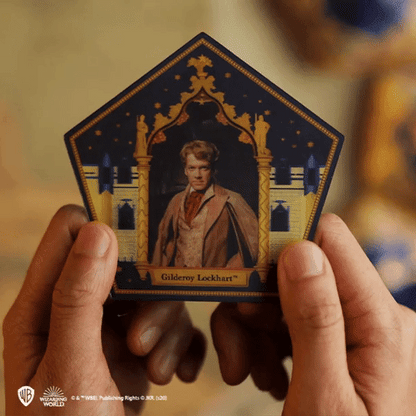 Chocolate Frog Mould + 12 magical cards + 6 Chocolate Frog boxes (new edition)