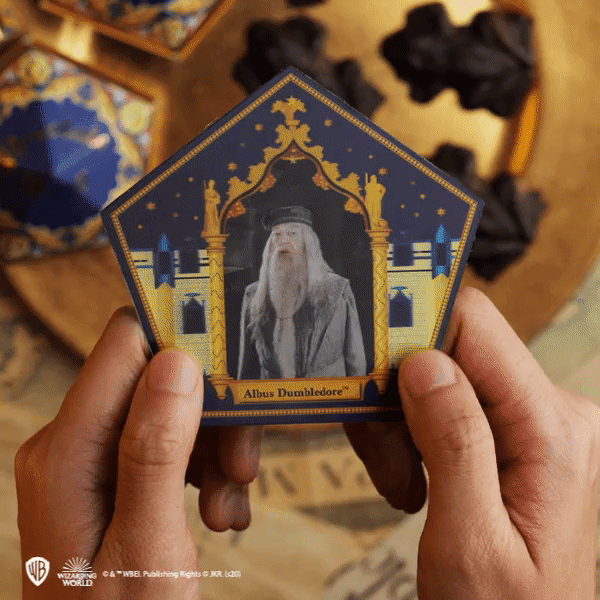 Chocolate Frog Mould + 12 magical cards + 6 Chocolate Frog boxes (new edition)