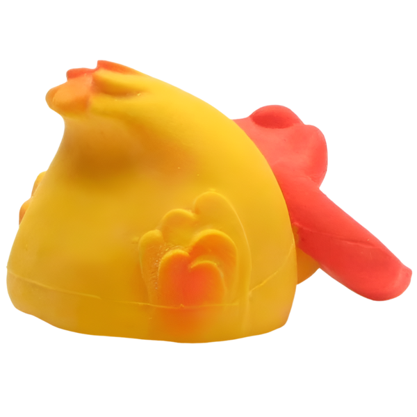 Diving duck