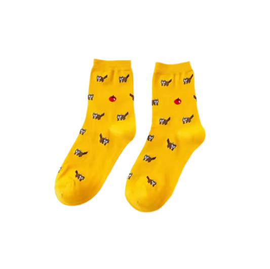 Raccoon Socks