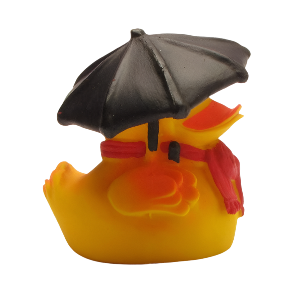 Eend Regenachtig weer
