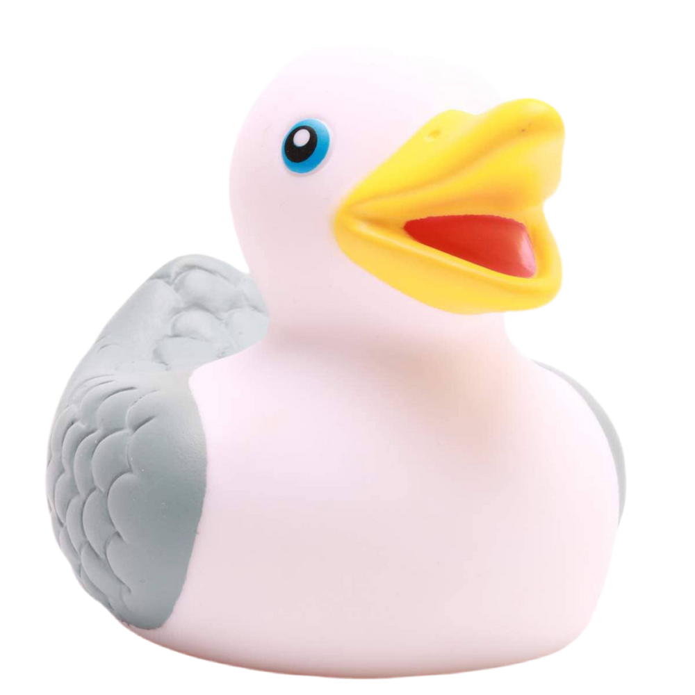 Mouette de Bain