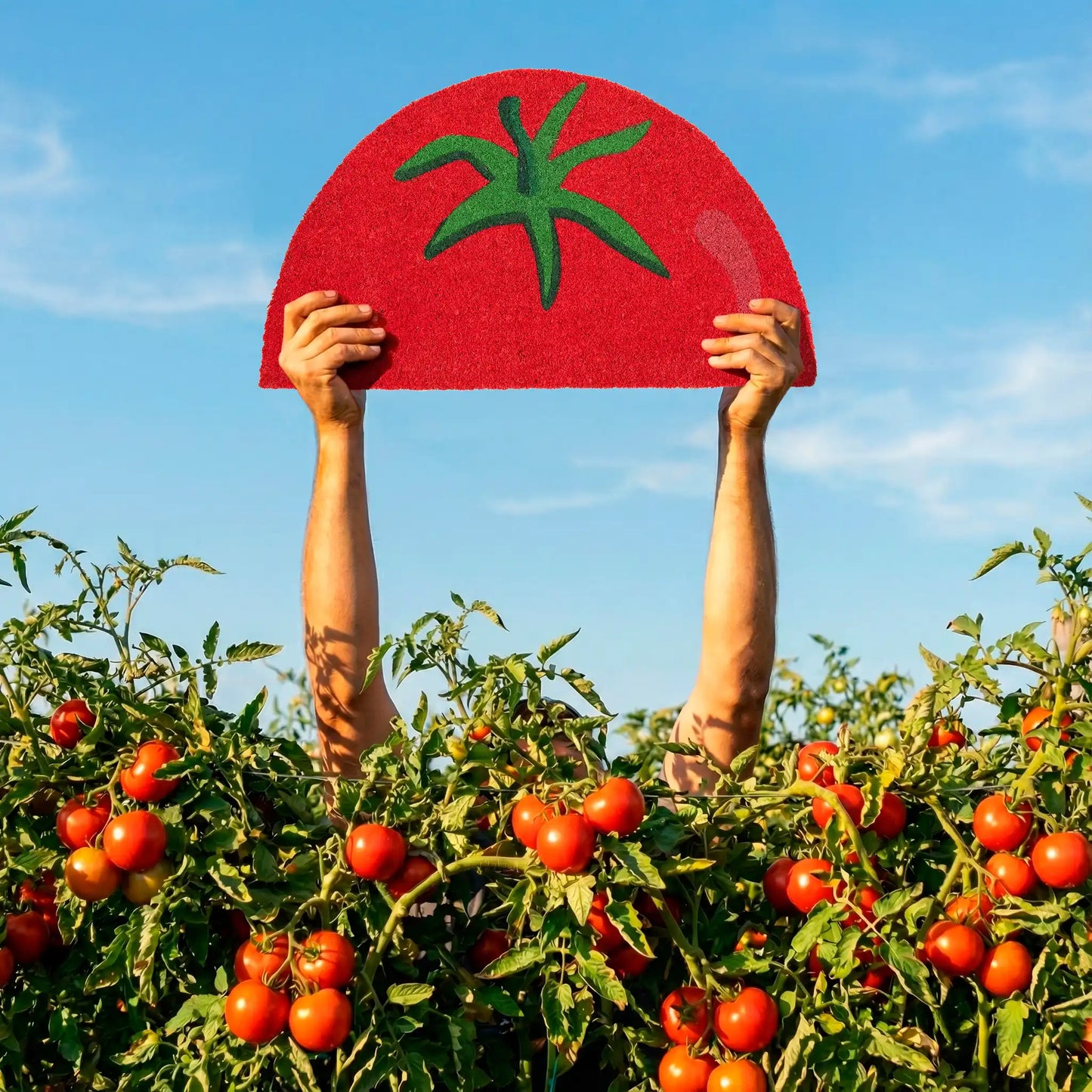 Paillasson Tomate – Fisura – vue 5