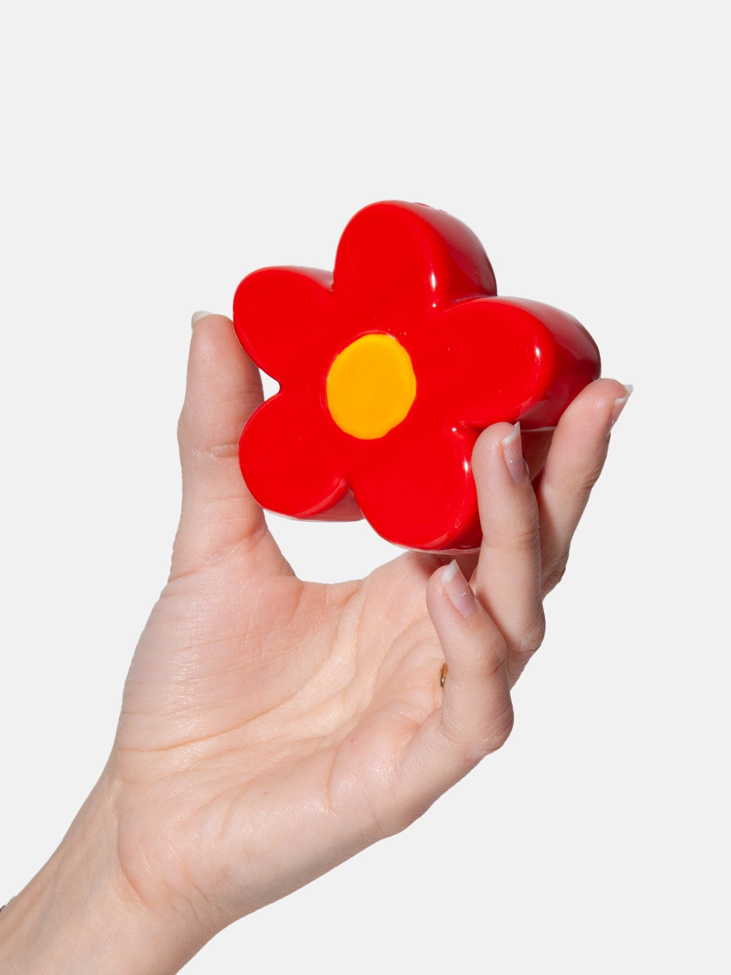 Salt and pepper Daisy