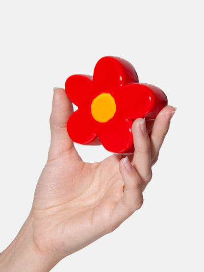 Salt and pepper Daisy