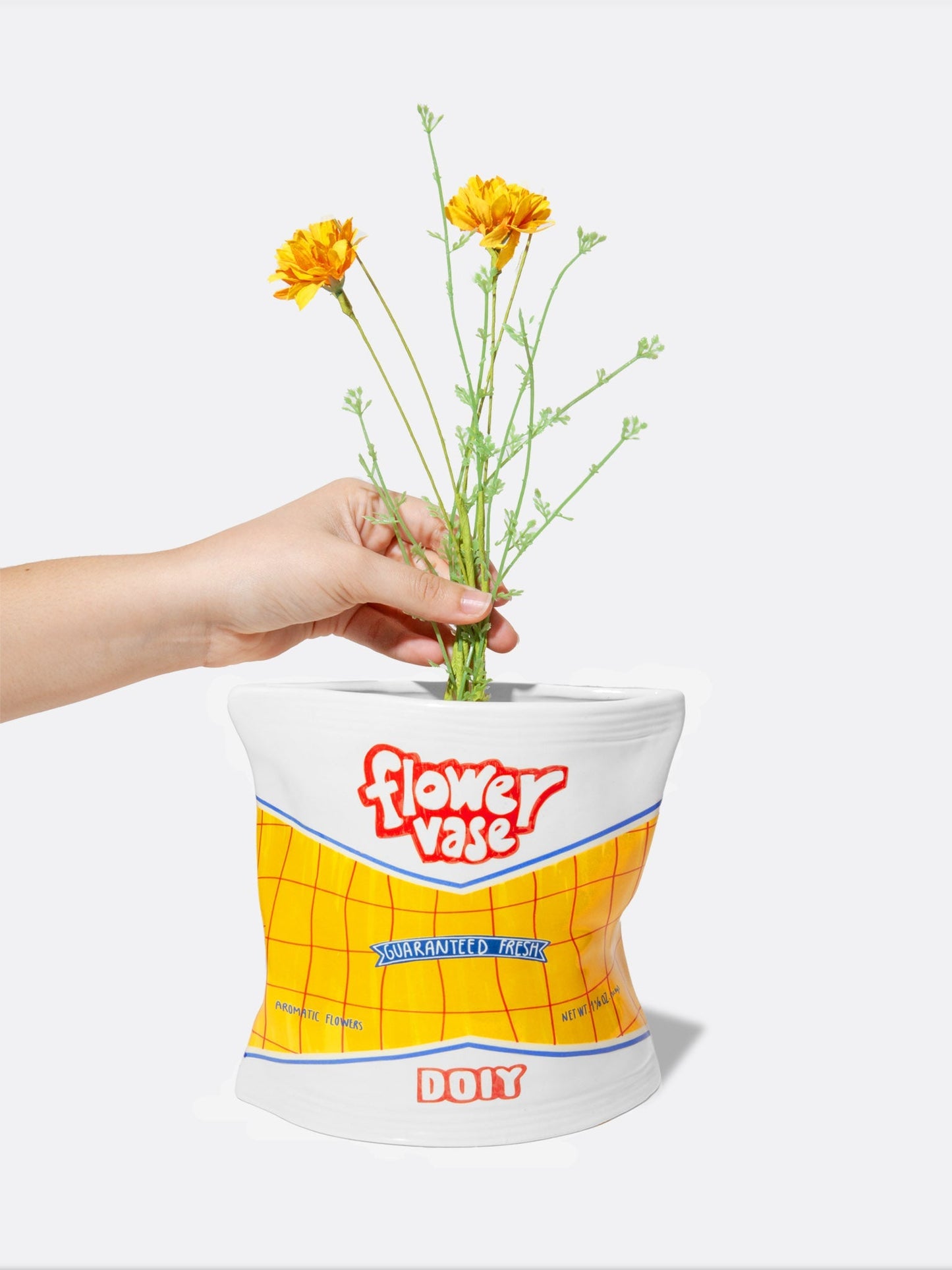 Coin Shop Vase Chips Bag