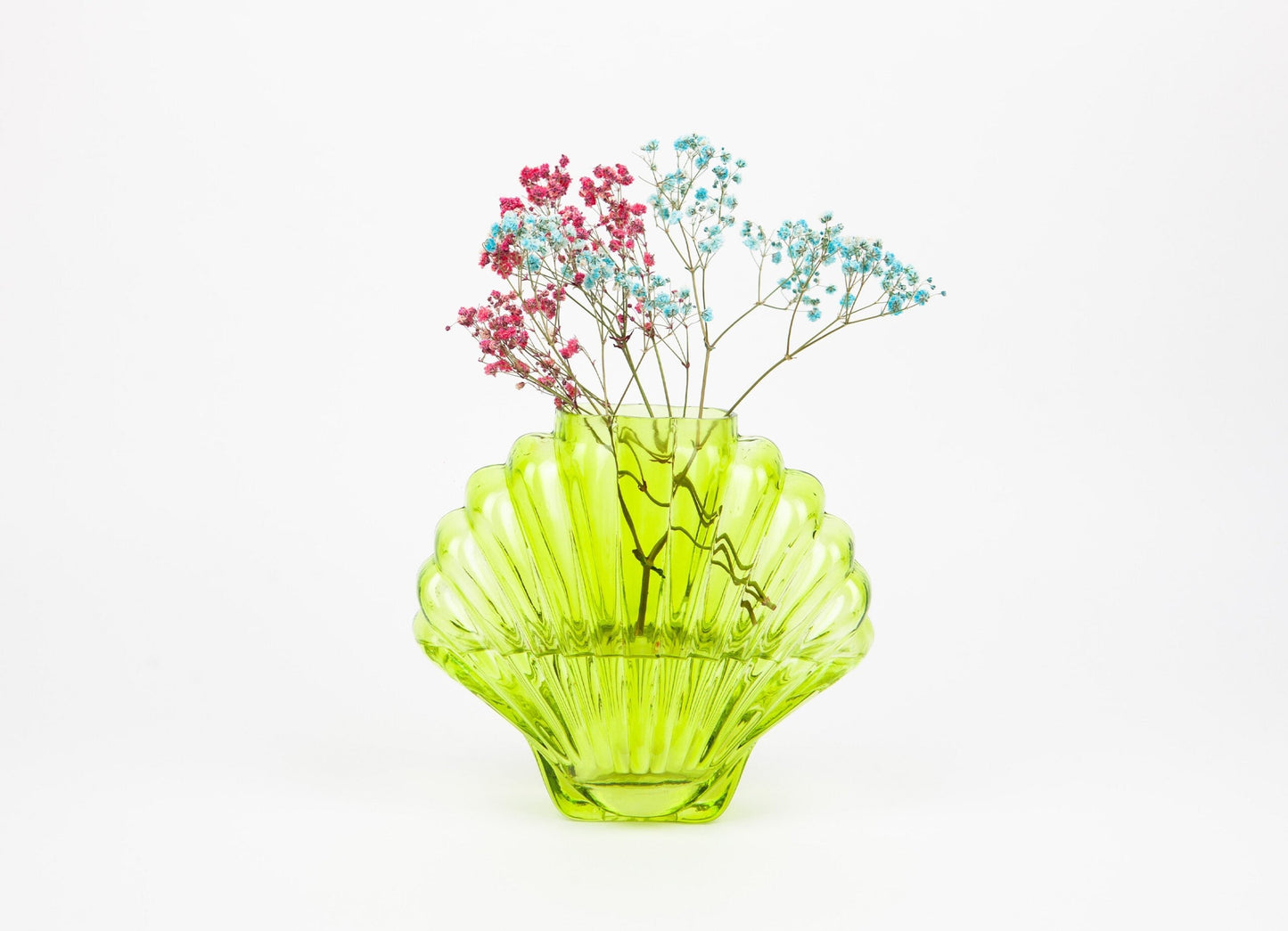 Vase with Green Seashells