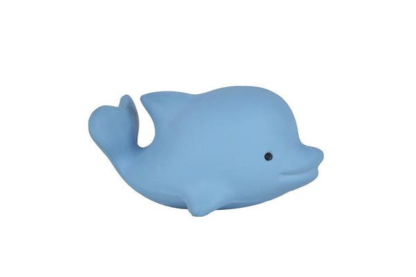 Mijn eerste zeedier: een dolfijn